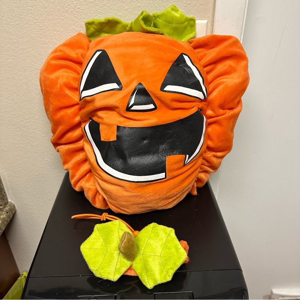 Pumpkin dog Halloween costume
